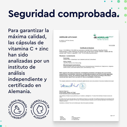 Vitamina C + Zinc - 365 Cápsulas - 1000Mg Vitamina C + 20Mg Zinc - Apoya El Sistema Inmunológico Y Reduce La Fatiga - Con Protección Gástrica Y Ph Neutro -100% Vegano