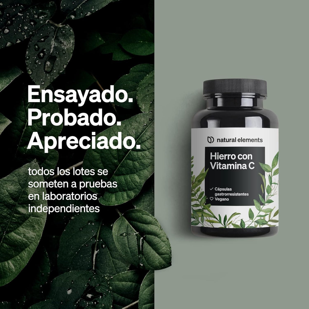 Ferrochel™ Hierro Con Vitamina C (42Mg) - 180 Cápsulas Gastrorresistentes - 20Mg De Bisglicinato De Hierro (Quelato De Hierro) - Materia Prima De Primera Calidad - Probado En Laboratorio Y Vegano